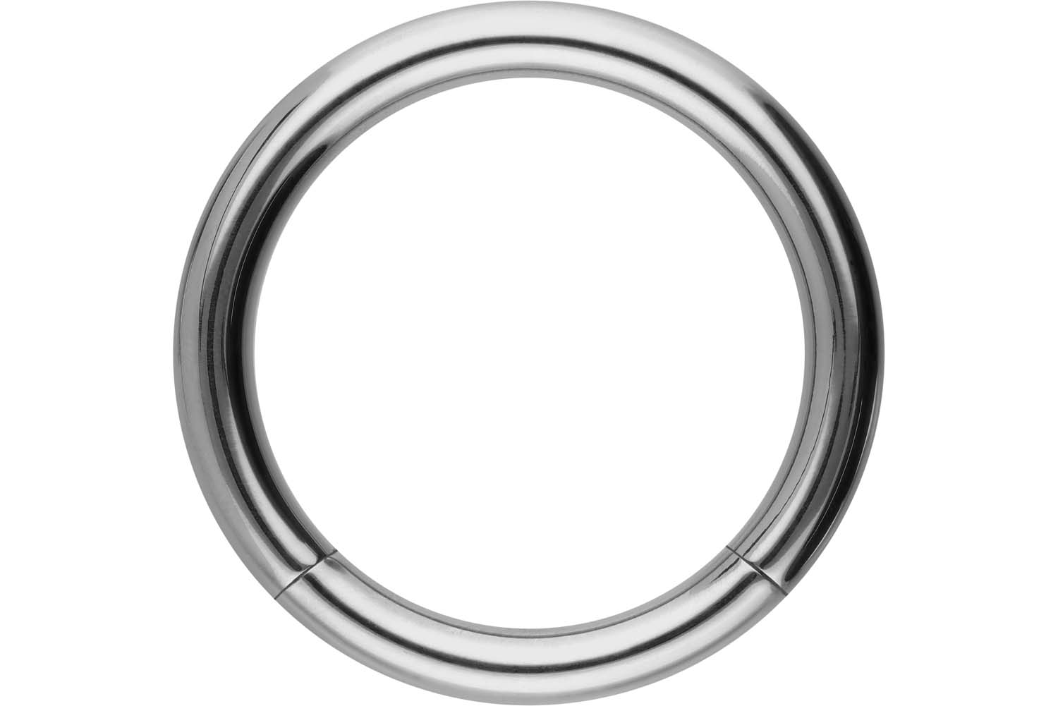 Titan Segmentring von Piercingline